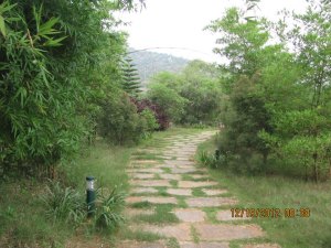 14491_10151197993357304_300497331_n